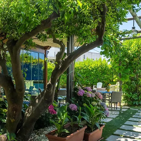 Capri Dreaming Bed & Breakfast