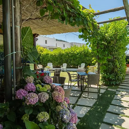 Bed & Breakfast Capri Dreaming
