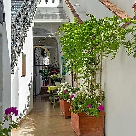 Capri Dreaming